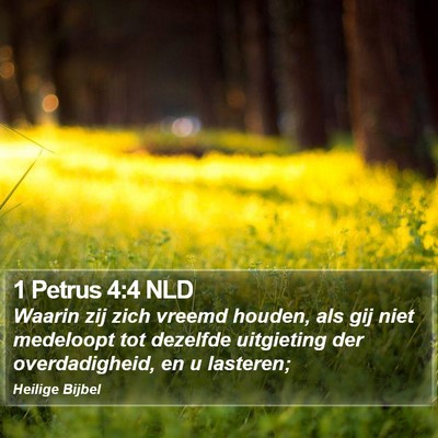 1 Petrus 4:4 NLD Bible Verse Image