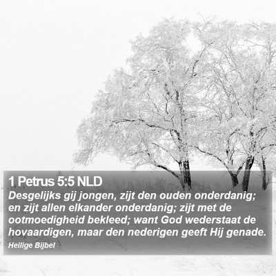 1 Petrus 5:5 NLD Bible Verse Image