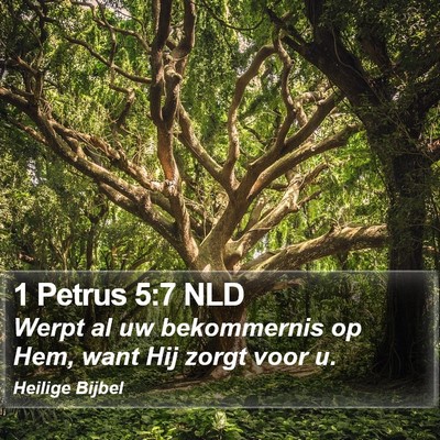 1 Petrus 5:7 NLD Bible Verse Image