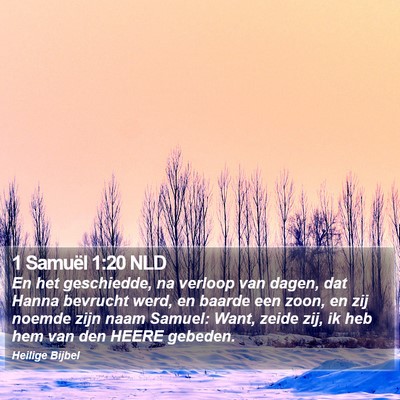 1 Samuël 1:20 NLD Bible Verse Image
