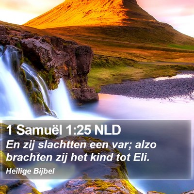 1 Samuël 1:25 NLD Bible Verse Image