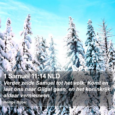 1 Samuël 11:14 NLD Bible Verse Image