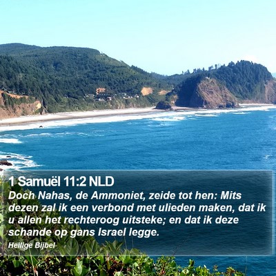 1 Samuël 11:2 NLD Bible Verse Image