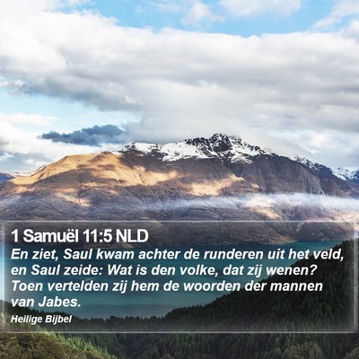 1 Samuël 11:5 NLD Bible Verse Image