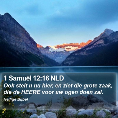 1 Samuël 12:16 NLD Bible Verse Image
