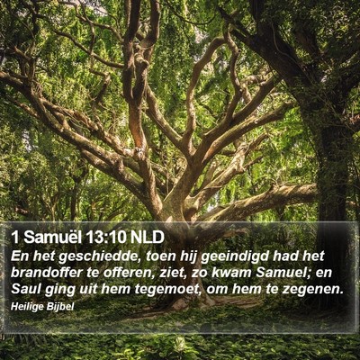 1 Samuël 13:10 NLD Bible Verse Image