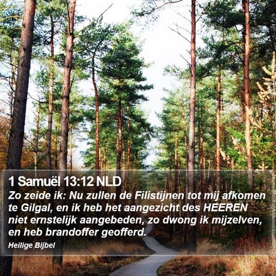 1 Samuël 13:12 NLD Bible Verse Image