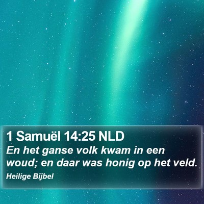 1 Samuël 14:25 NLD Bible Verse Image