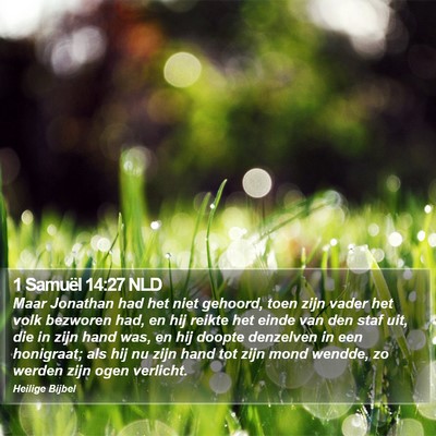 1 Samuël 14:27 NLD Bible Verse Image