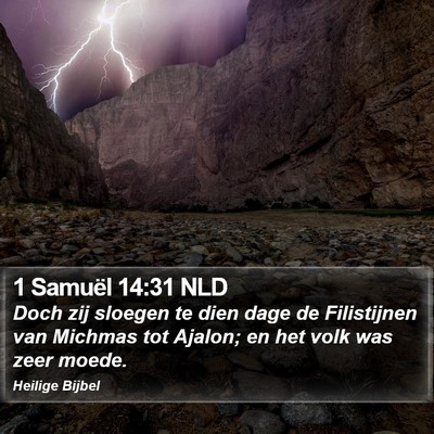 1 Samuël 14:31 NLD Bible Verse Image