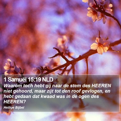 1 Samuël 15:19 NLD Bible Verse Image