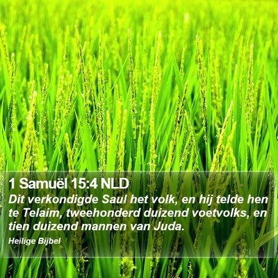 1 Samuël 15:4 NLD Bible Verse Image