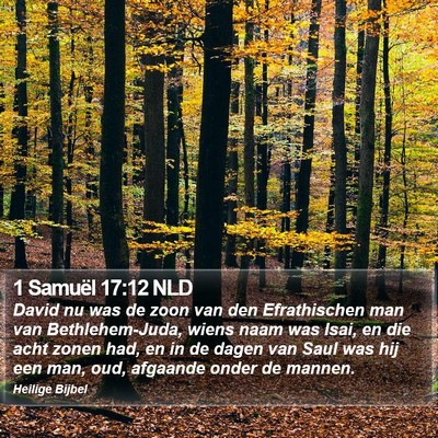 1 Samuël 17:12 NLD Bible Verse Image