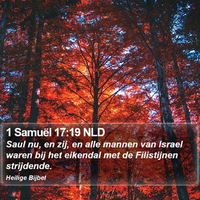 1 Samuël 17:19 NLD Bible Verse Image