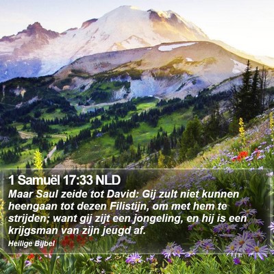 1 Samuël 17:33 NLD Bible Verse Image