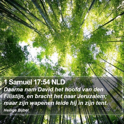 1 Samuël 17:54 NLD Bible Verse Image