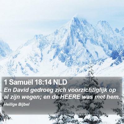 1 Samuël 18:14 NLD Bible Verse Image