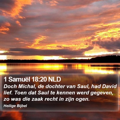 1 Samuël 18:20 NLD Bible Verse Image