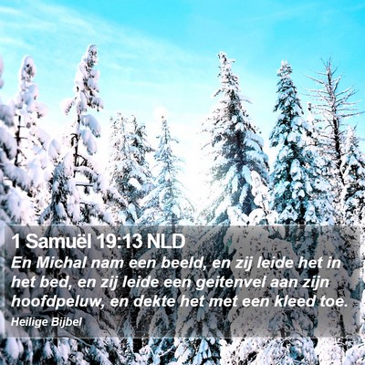 1 Samuël 19:13 NLD Bible Verse Image