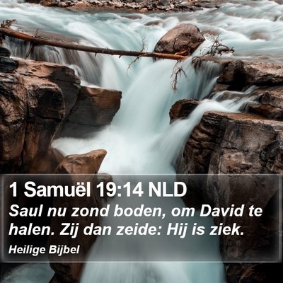 1 Samuël 19:14 NLD Bible Verse Image