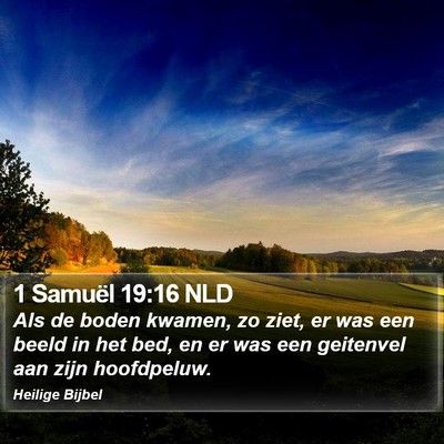 1 Samuël 19:16 NLD Bible Verse Image