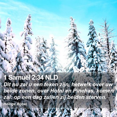 1 Samuël 2:34 NLD Bible Verse Image