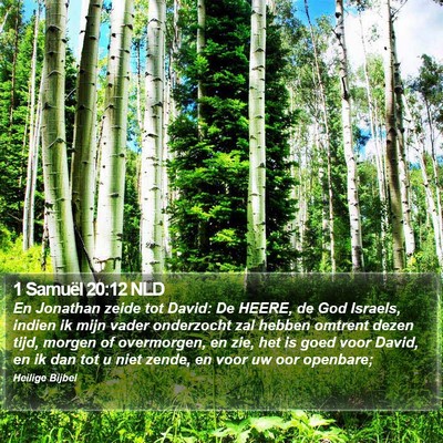 1 Samuël 20:12 NLD Bible Verse Image