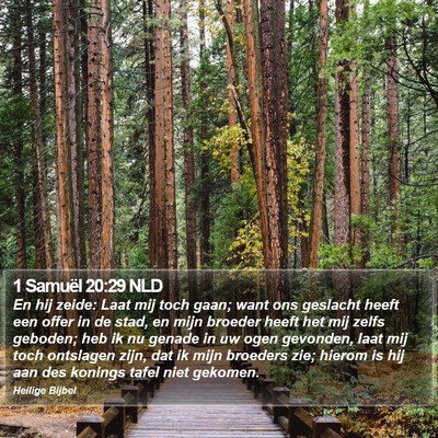 1 Samuël 20:29 NLD Bible Verse Image