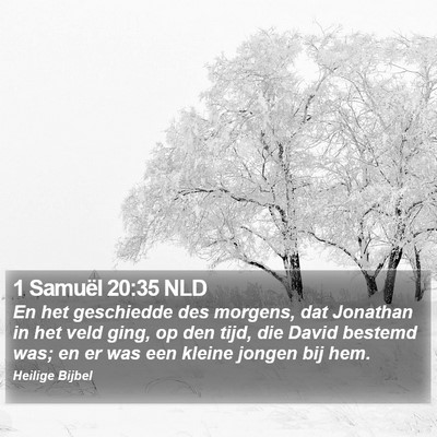 1 Samuël 20:35 NLD Bible Verse Image