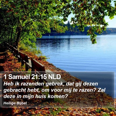 1 Samuël 21:15 NLD Bible Verse Image