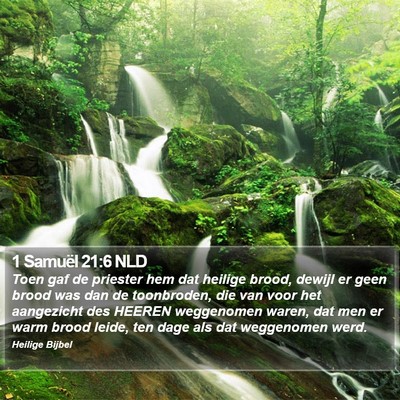 1 Samuël 21:6 NLD Bible Verse Image