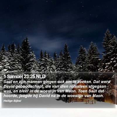 1 Samuël 23:25 NLD Bible Verse Image