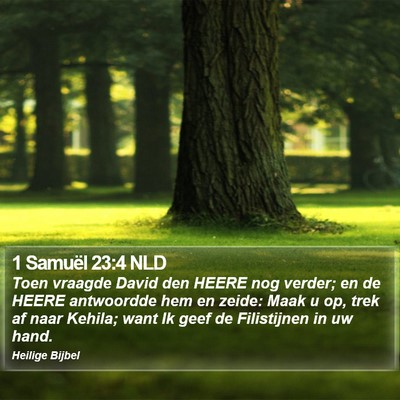 1 Samuël 23:4 NLD Bible Verse Image