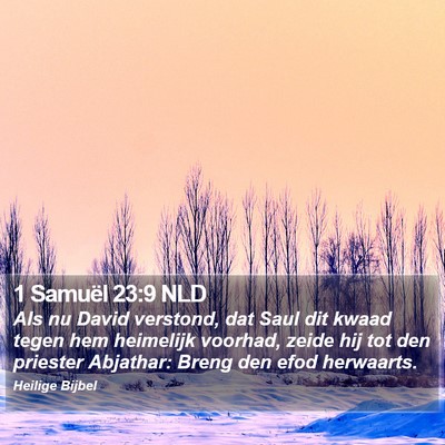 1 Samuël 23:9 NLD Bible Verse Image