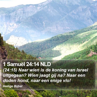 1 Samuël 24:14 NLD Bible Verse Image