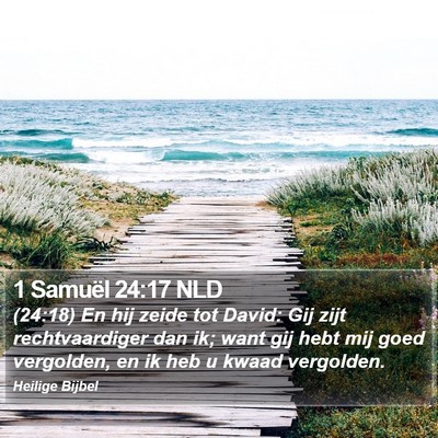 1 Samuël 24:17 NLD Bible Verse Image