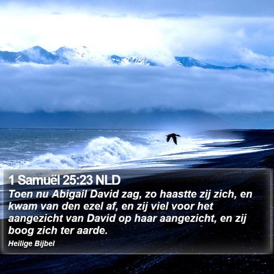 1 Samuël 25:23 NLD Bible Verse Image