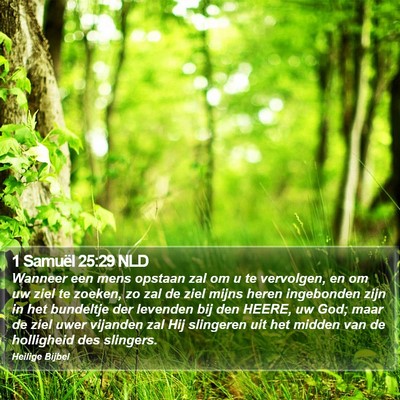 1 Samuël 25:29 NLD Bible Verse Image