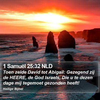 1 Samuël 25:32 NLD Bible Verse Image