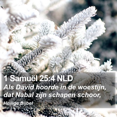 1 Samuël 25:4 NLD Bible Verse Image