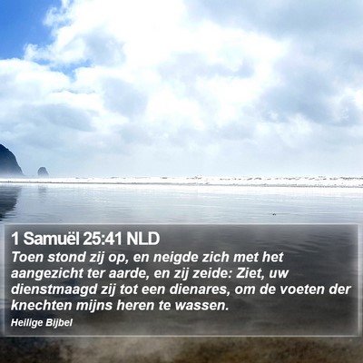 1 Samuël 25:41 NLD Bible Verse Image