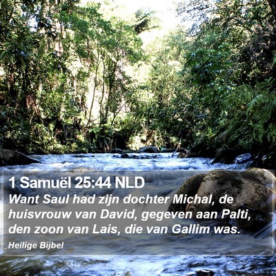 1 Samuël 25:44 NLD Bible Verse Image