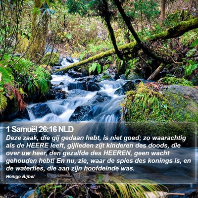 1 Samuël 26:16 NLD Bible Verse Image