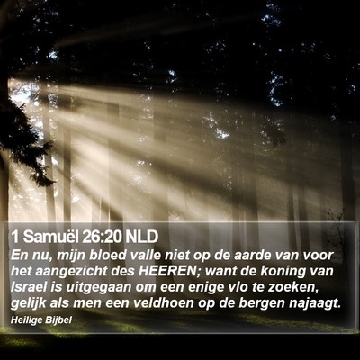 1 Samuël 26:20 NLD Bible Verse Image