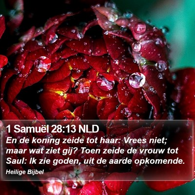 1 Samuël 28:13 NLD Bible Verse Image