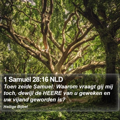 1 Samuël 28:16 NLD Bible Verse Image