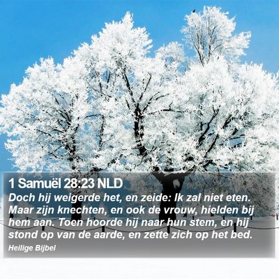 1 Samuël 28:23 NLD Bible Verse Image
