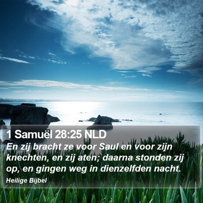 1 Samuël 28:25 NLD Bible Verse Image