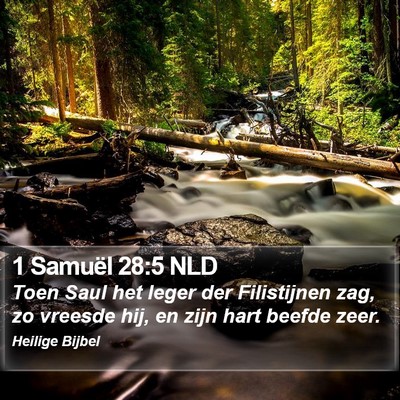 1 Samuël 28:5 NLD Bible Verse Image