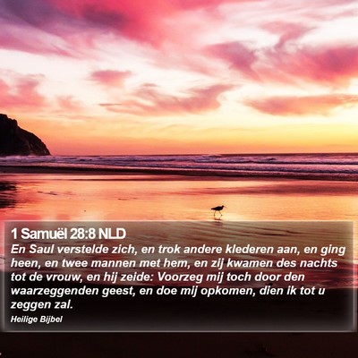 1 Samuël 28:8 NLD Bible Verse Image